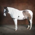 Snuggy Hoods Headless Anti-Itch Horse Hood -ZN Beige