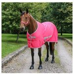 Bucas talliloimi Twill Sheet Pinkki