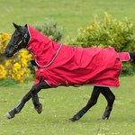 Horseware Amigo Hero ACY Plus Lite Red/White/Green/Black