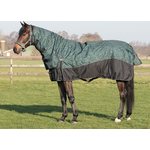 QHP Fullneck toppaloimi 300g Vihreä (Leaves)