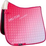 HKM Pro-Team Satulahuopa, Advanced Pinkki