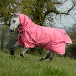 Bucas Freedom Turnout Light Fullneck sadeloimi Vaaleanpunainen (Hot pink)