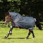 Horseware Amigo Bravo12Plus toppaloimi 250g + kaulakappale T.sininen/Punainen/Sininen