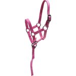 Horse Comfort nailonriimu maitovarsalle Pinkki