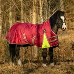 Globus Tarzan 0 highneck sadeloimi, 0g Punainen