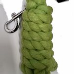 Globus LEAD REIN, bolt snap, 180cm Apple