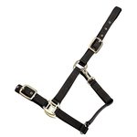 Horse Comfort Turvalta avattava nailonriimu toppauksin Musta