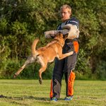 Raddog Suojahiha oikea, F1