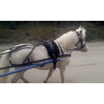 Sinkadus Nylon harness for miniaturehorses