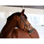 Bridle x - jump with design noseband, brown