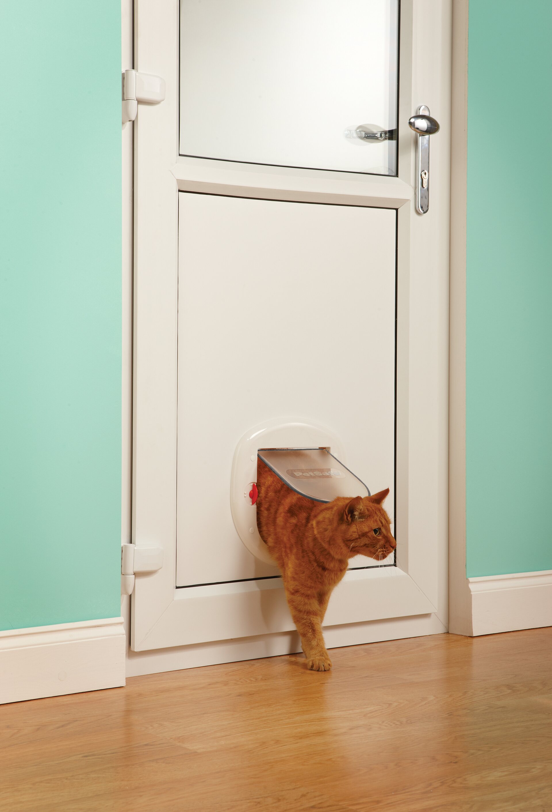 Дверь Для Кота В Туалет