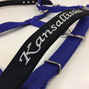Riimu brodeerauksella "Kansallisaarre"