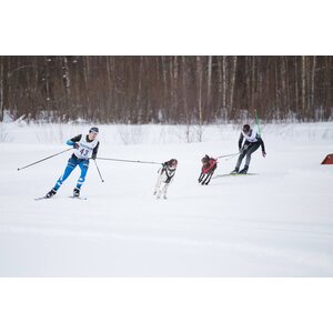 Non-stop Dogwear joustava vetonaru