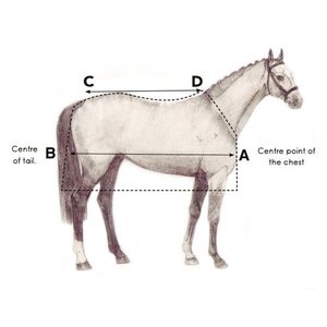 Horseware Amigo Bravo12 Plus 30g