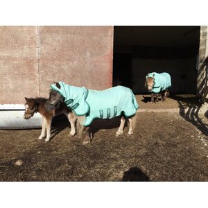 Horseware Rambo Petite Hoody