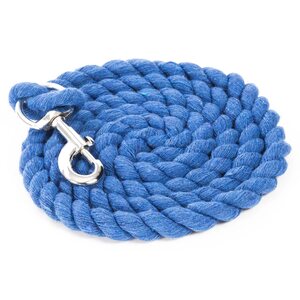 Globus LEAD REIN, bolt snap, 180cm