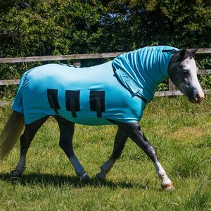 Snuggy Hoods Bug Body Horse Fly Rug