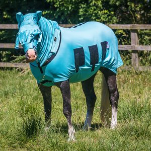 Snuggy Hoods Bug Body Horse Fly Rug