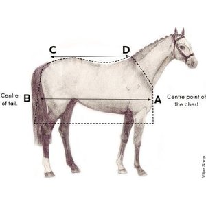 Horseware Amigo Hero ACY Plus Lite Disc