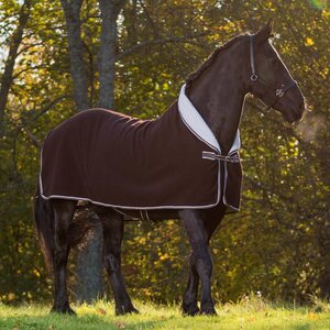 Globus Fleeceloimi ponille, Chicko