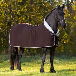 Globus Fleeceloimi ponille, Chicko