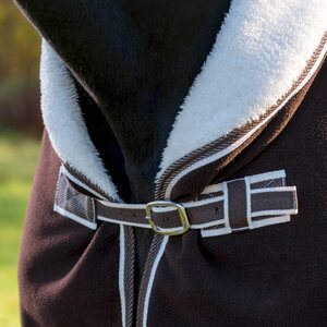 Globus Fleeceloimi ponille, Chicko