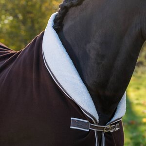 Globus Fleeceloimi ponille, Chicko