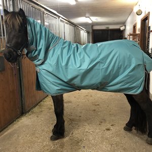 Bucas Freedom Turnout Light Fullneck sadeloimi