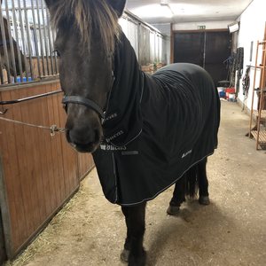 Bucas Shamrock Power Fullneck loimi