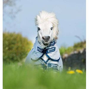 Horseware Amigo Petite Bug Rug