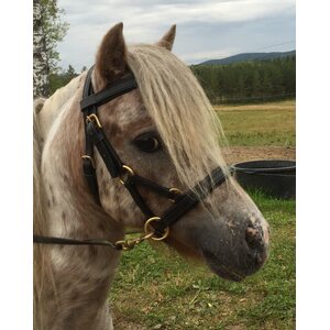 Sinkadus Sidepull / bettlöst träns