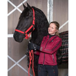 QHP Huppari, Susy