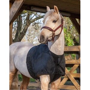Lemieux Anti Rub Bib Black