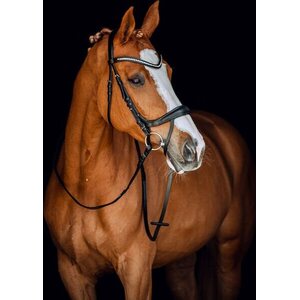 Horze Luton suitset