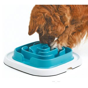 Savic Pet Enigma palapeli nro 21 L
