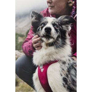 Hurtta Active valjas, Kirsikka