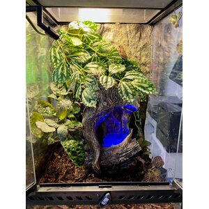 Zoo Med Repti Rapids vesiputous LED valolla