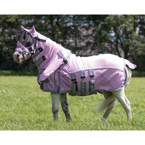 QHP Falabella itikkaloimi