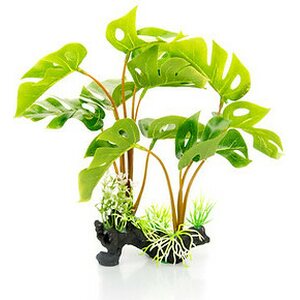 Giganterra tekokasvi Peikonlehti, 30cm