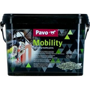 Pavo Mobility nivelille
