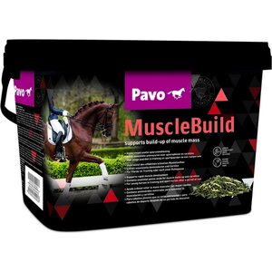 Pavo Muscle Build