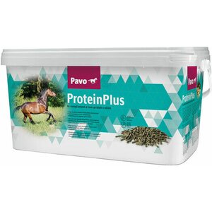 Pavo ProteinPlus, 8kg