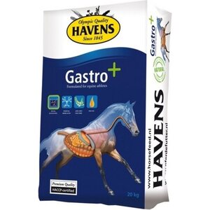 Havens Gastro +, 20 kg