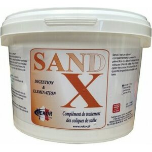 Rekor SandX