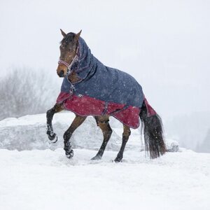 Winterdecken für Pferde