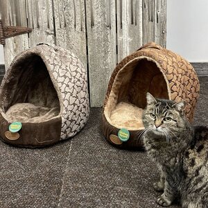 Globus Kissan peti, igloo