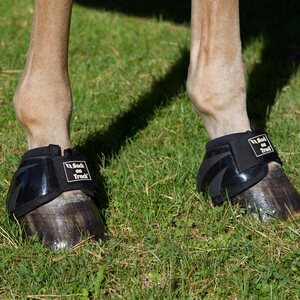 Back on Track Bootsit Performance