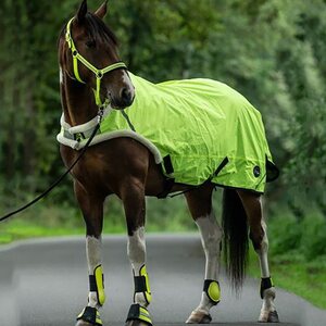 Reflectors for horse