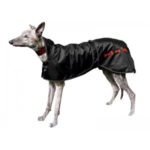 Back on Track greyhound vinttikoiran takki