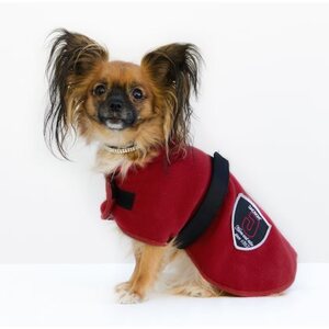 Jacson Koiratakki fleece